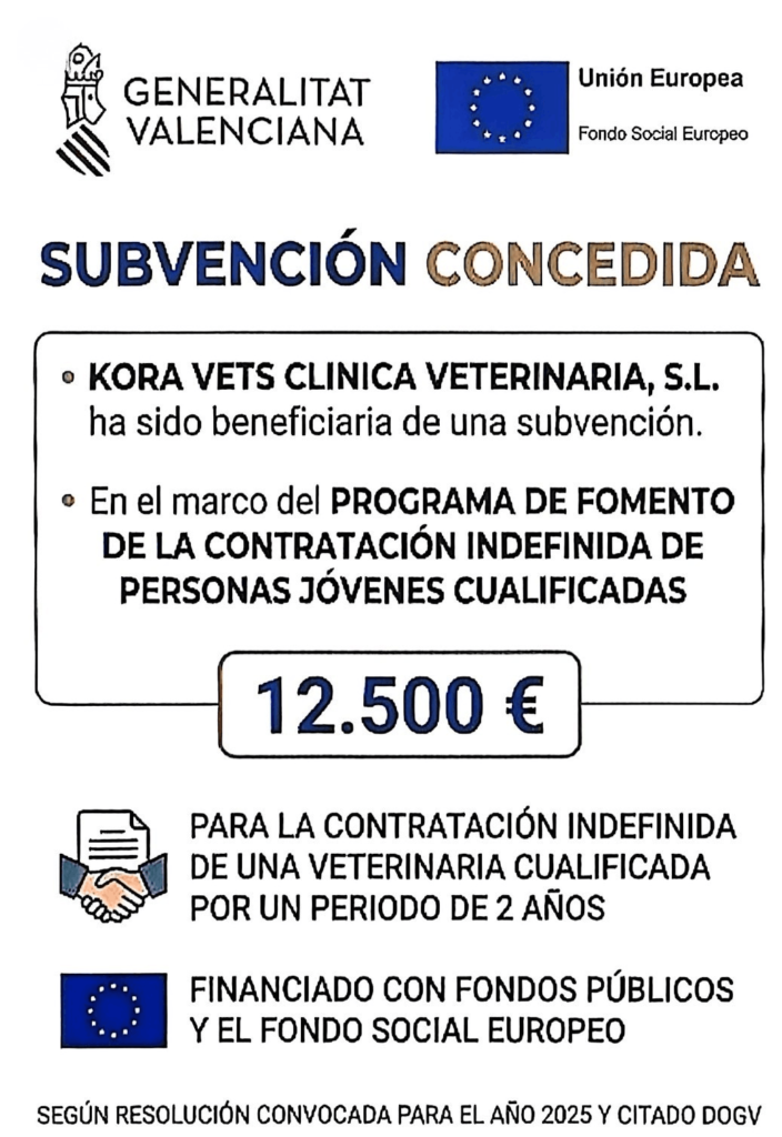 Cartel de subvención de 12.500€ de la Generalitat Valenciana a Kora Vets por contratación indefinida joven.